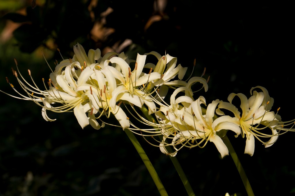 f0044056_6591966.jpg