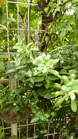 d0173057_1529151.jpg