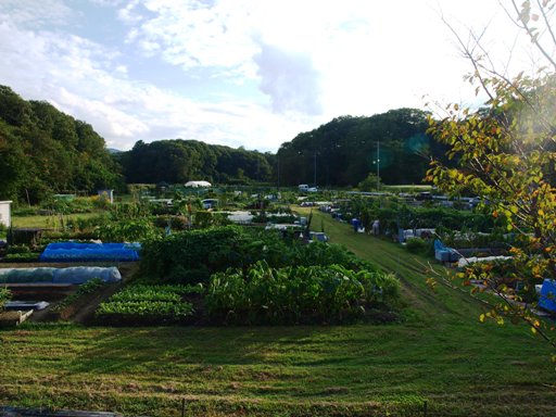 d0111558_22195628.jpg