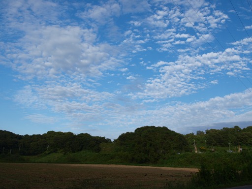 d0111558_22202740.jpg