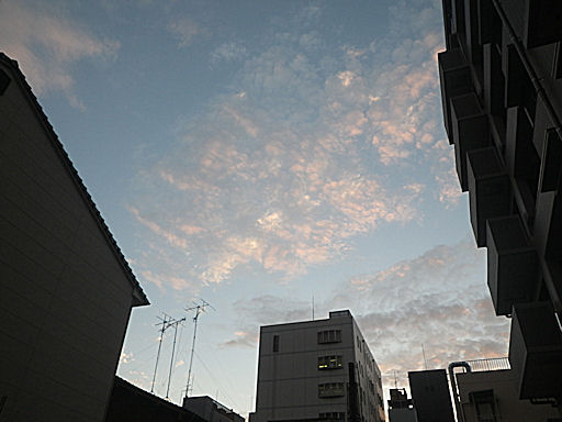f0156359_21354053.jpg