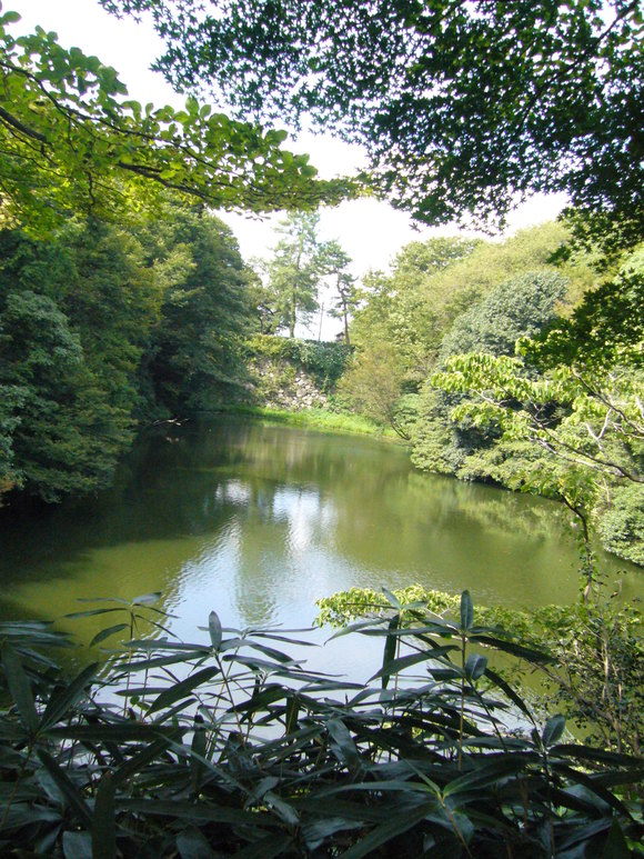 c0135361_17555068.jpg
