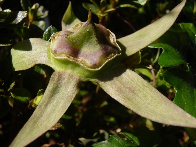 c0042869_1934672.jpg