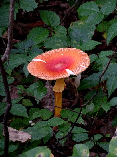 d0084473_20464058.jpg