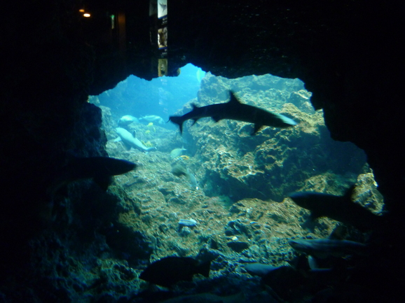 a0244974_11593254.jpg