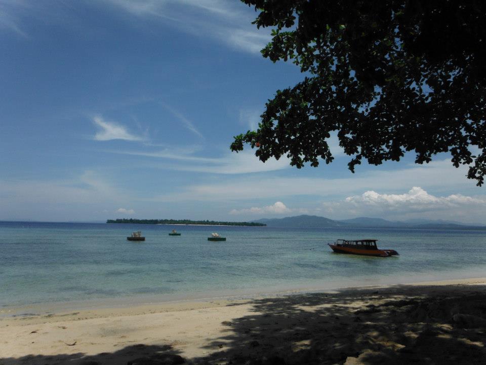 b0184974_5353947.jpg