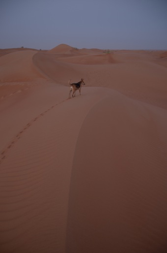 e0066474_14422885.jpg