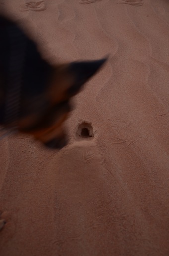 e0066474_14424520.jpg