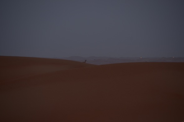 e0066474_14431164.jpg