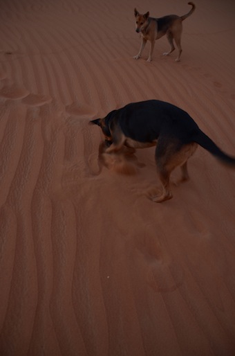 e0066474_1443755.jpg