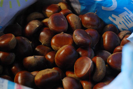 f0054977_94737100.jpg
