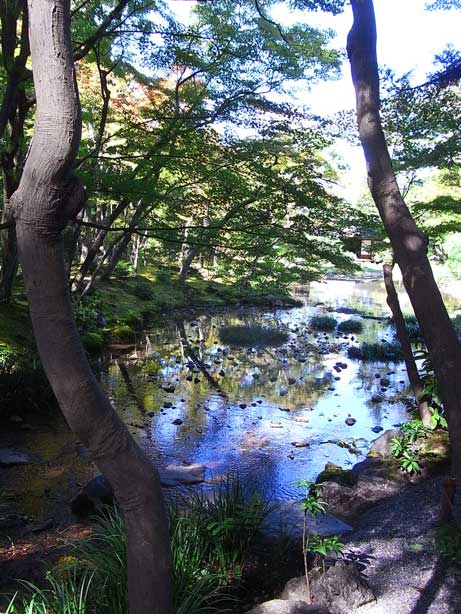 f0089079_9455958.jpg