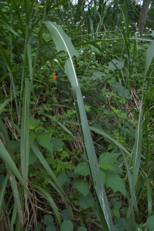 f0090680_21503230.jpg