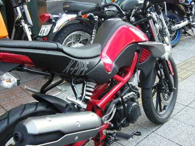 d0099181_1545689.jpg