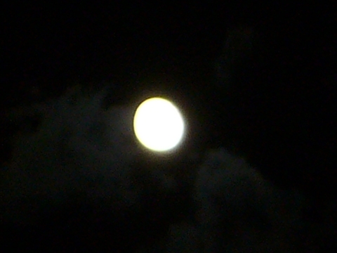 f0079085_21515339.jpg