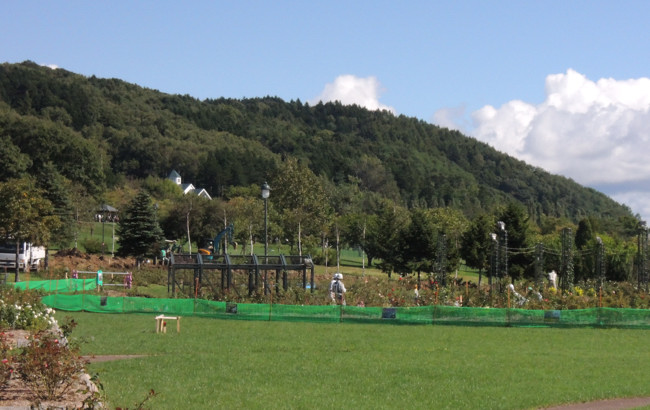 b0169987_225317.jpg