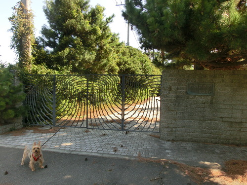 e0123587_2143180.jpg