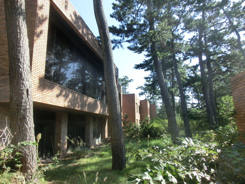 e0123587_214411.jpg