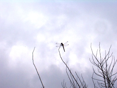 f0018790_2241261.jpg