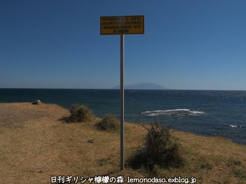 c0010496_19571785.jpg