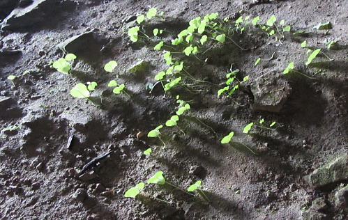 f0153497_21574325.jpg