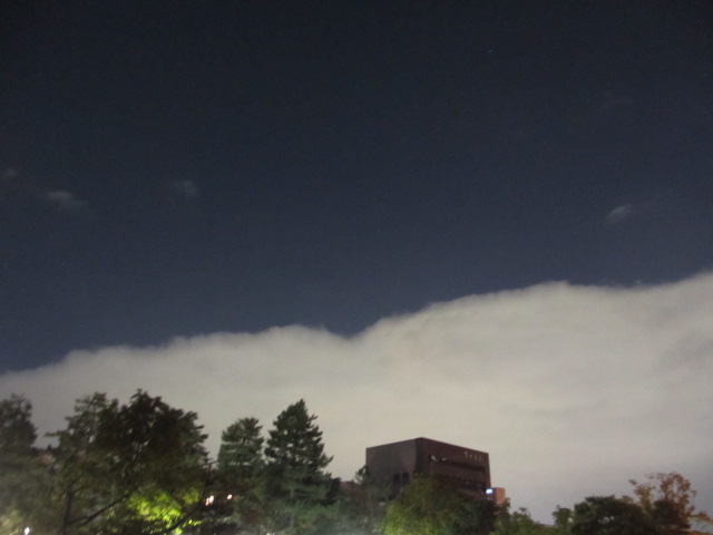a0193698_19221380.jpg