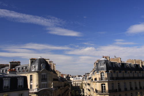 c0090198_3575025.jpg