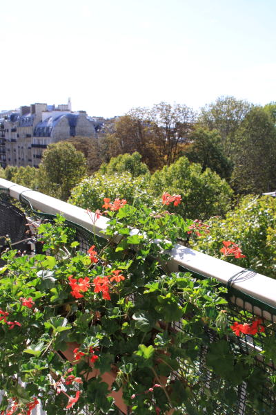 c0090198_357978.jpg