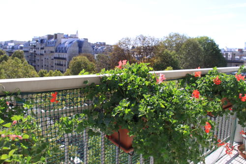 c0090198_359444.jpg