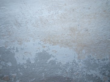 b0110999_17392455.jpg