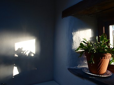 b0110999_1739439.jpg