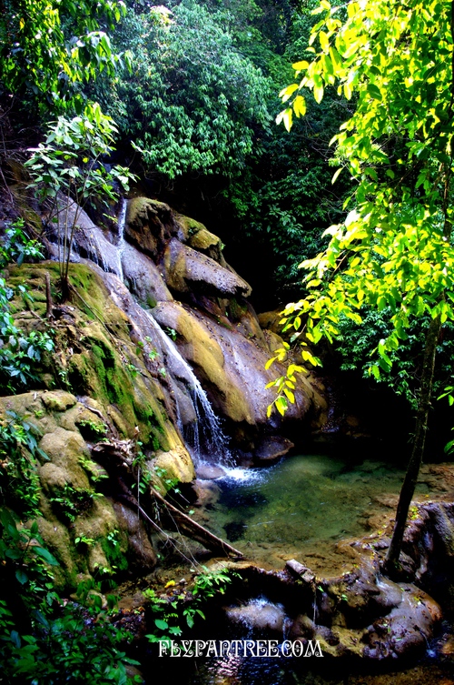 c0228101_0485141.jpg