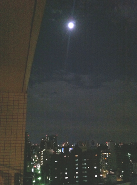 a0235703_1217169.jpg