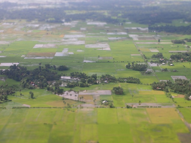 b0229505_21275914.jpg