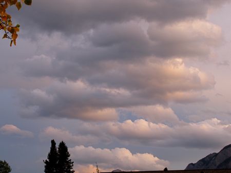 b0051109_9331651.jpg