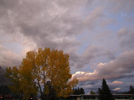 b0051109_9342330.jpg