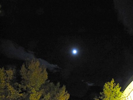 b0051109_9454093.jpg