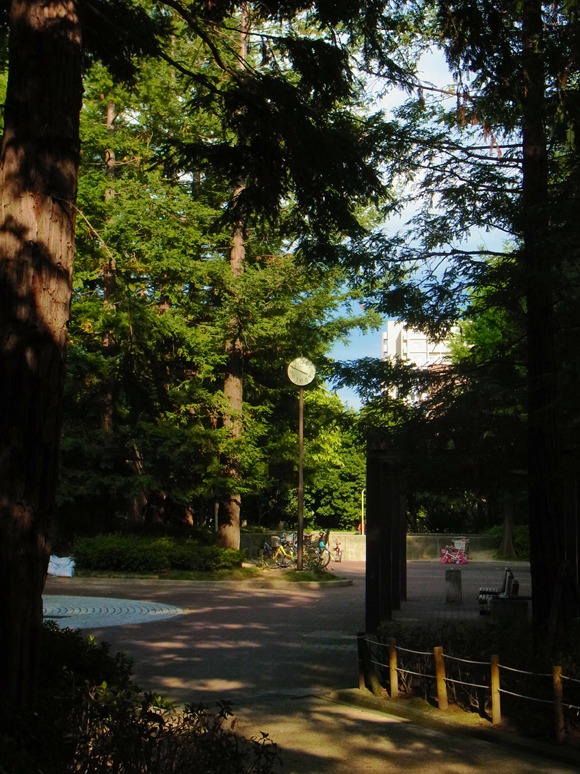 e0083517_2392725.jpg