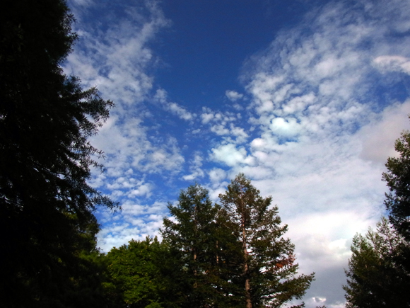 e0083517_2394362.jpg