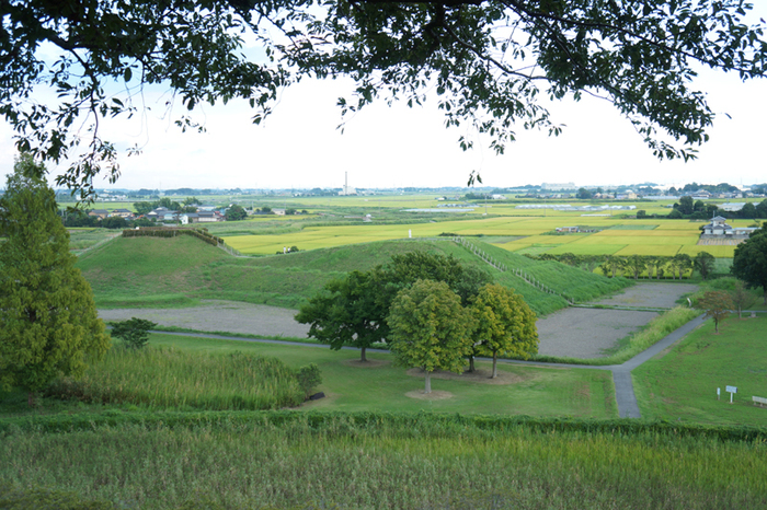 a0192923_026582.jpg