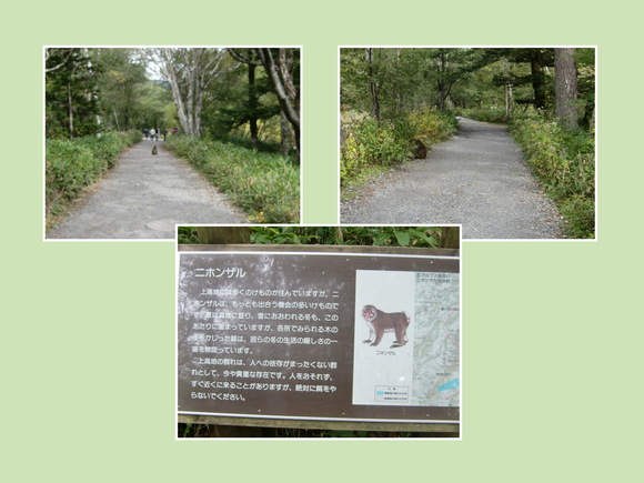 b0203925_21132247.jpg