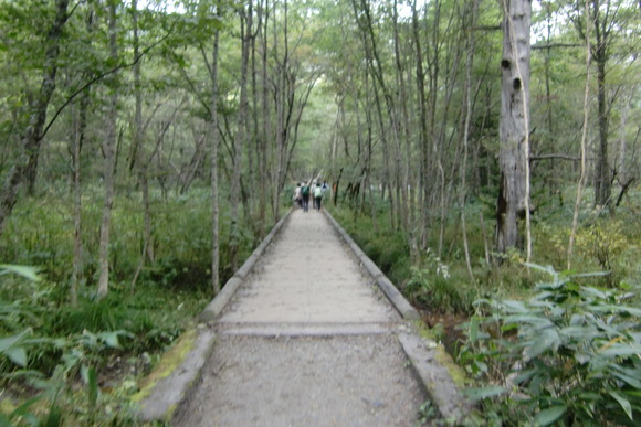 b0203925_2113424.jpg