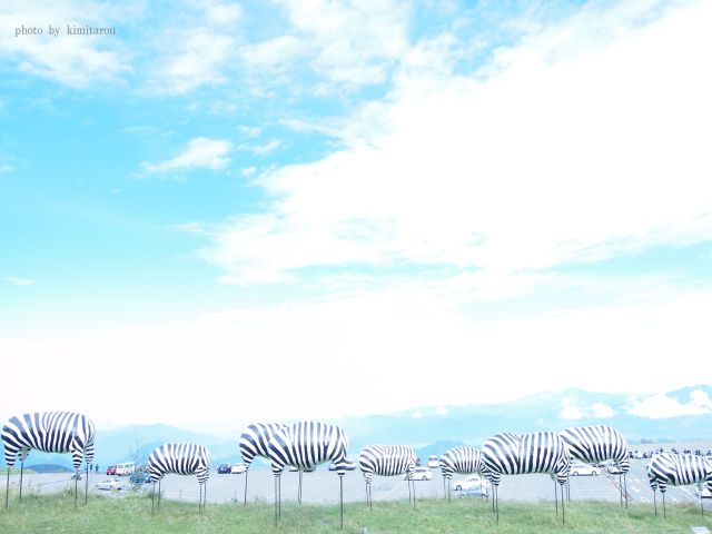e0242525_2216615.jpg