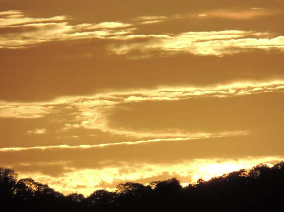 c0184737_2072587.jpg