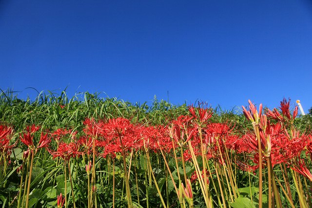 a0242438_191033100.jpg
