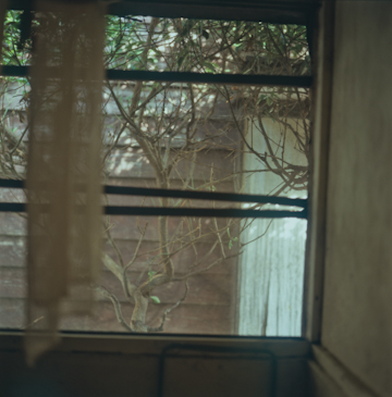 c0095644_168845.jpg