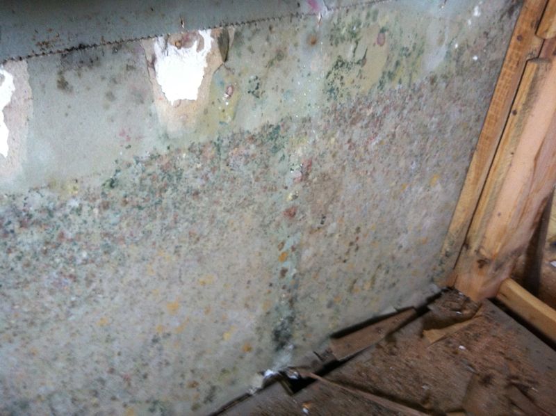 e0069646_2140515.jpg