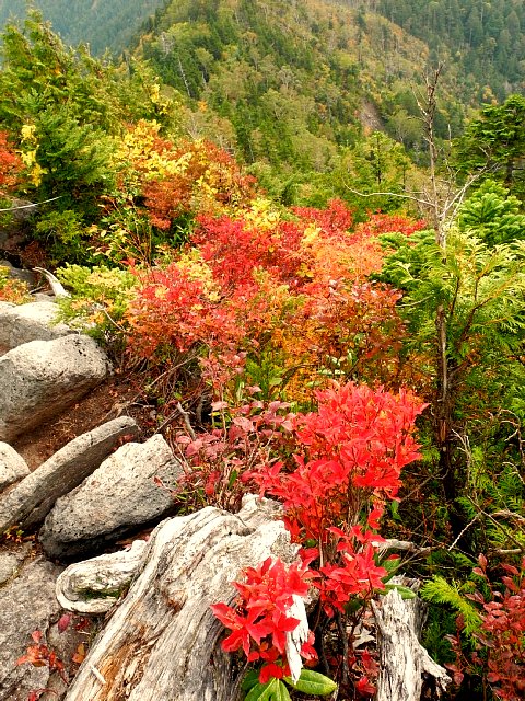 b0122448_2048642.jpg