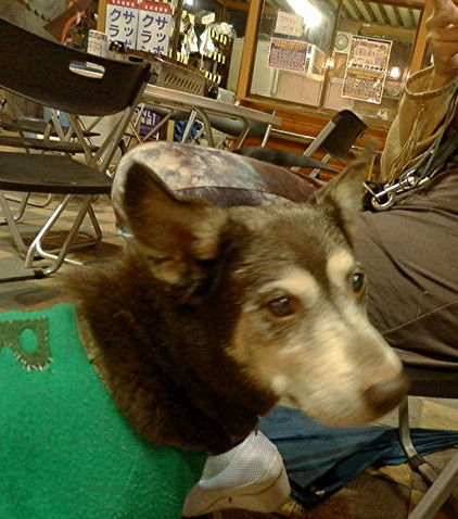 d0006253_20434969.jpg