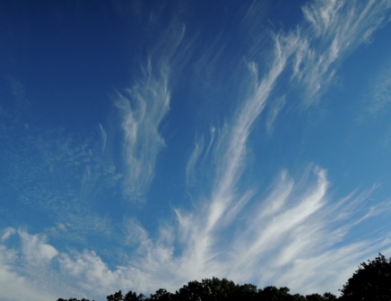 b0173754_1110473.jpg